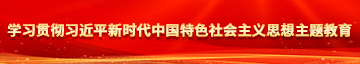 久久欠大肥婆穴学习贯彻习近平新时代中国特色社会主义思想主题教育